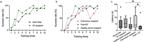 Figure 5. Supplementation with the S7 consortium improves behavior in frail donor recipient mice.