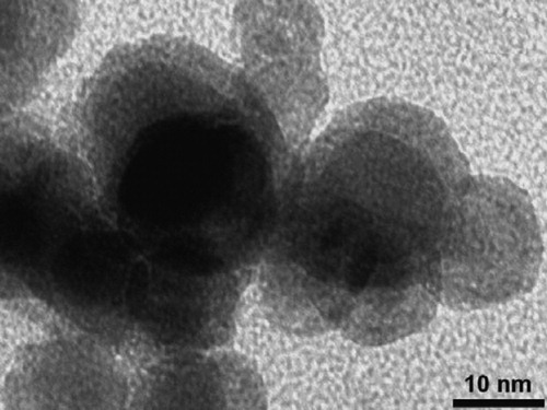 Figure 18. Cementite nanoparticles produced using laser pyrolysis of a gaseous mixture. Reproduced from Morjan et al. [Citation129] with permission from Elsevier.