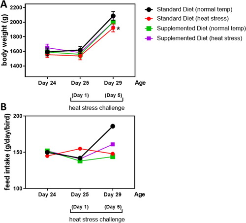 Figure 1. Mean body weight and daily feed intake of the birds fed standard or supplemented diets at the start of the experiment (day 24) and after 1-day (25-days of age) or 5 days (29-days of age) heat stress challenges. *Differs significantly (P < 0.05) from birds fed standard feed under normal temperature.