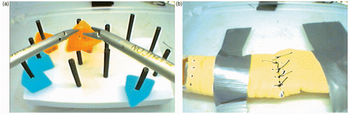 Figure 9. View from the laparoscopic camera for (a) the FLS pegboard task and (b) the simple interrupted suturing task.