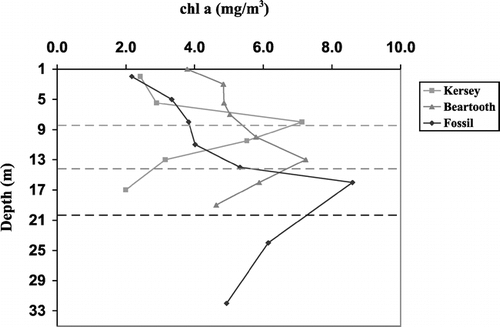 FIGURE 1. Chlorophyll profiles for three lakes in the Beartooth Mountains situated along an elevational gradient: Kersey, 2690 m a.s.l.; Beartooth, 2967 m a.s.l.; and Fossil, 3300 m a.s.l. The 1% PAR attenuation depth is indicated with corresponding dashed lines for each lake. Lakes were profiled during July 2001, which was within four weeks after ice-off for all lakes. The depth of the chlorophyll maximum increases with elevation and is situated above the limit of the euphotic zone in each case