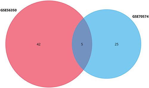 Figure 2 Venn Diagram of GSE48074 and GSE70574.