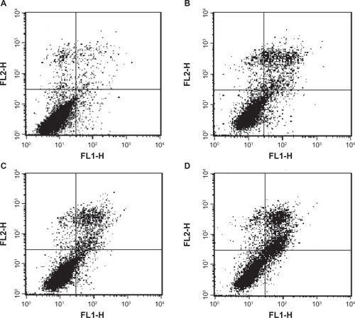 Figure 10 Dual parameter flow cytometry analysis of MCF-7 cells with annexin V/PI staining. A) control group, B) DCT solution, C) DCT-L, D) FA-PDCT4000-L.