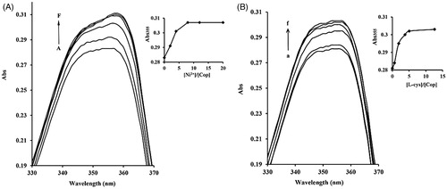 Figure 7. Ni2+ and L-cys binding to coptisine (Cop) measured using UV-visible spectroscopy. 16 μM Cop in the absence or presence of different molar equivalents of Ni2+ (1 mM NiCl2) (A) or L-cys (1 mM) (B) in 20 mM HEPES buffer, pH 7.5. A-F, 0.0 to 320 μM of Ni2+; A-F, 0.0 to 200 μM of L-cys. The inset shows the titration curves for binding of Ni2+ or L-cys to Cop at 355 nm. Wavelength (nm) is represented on the x-axis and absorption (Abs) is represented on the y-axis.