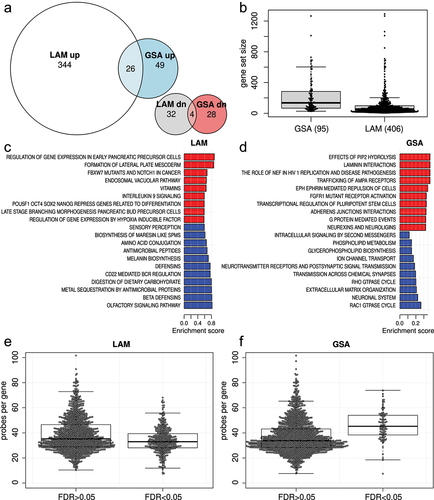 Figure 3. Pathway enrichment analysis comparing normal and cancer samples using LAM and GSA methods. (a) Euler diagrams showing the overlap in statistically significant pathways (FDR <0.05) from LAM and GSA results. (b) Sizes of significant gene sets found with LAM and GSA methods. (c) Significant LAM pathways with the largest absolute enrichment score. (d) Top-ranked significant GSA pathways ranked by fold enrichment. (e) Mean number of probes per gene for statistically significant (FDR <0.05) and non-significant (FDR >0.05) gene sets identified with LAM. (f) Mean number of probes per gene for statistically significant (FDR <0.05) and non-significant (FDR >0.05) gene sets identified with GSA.