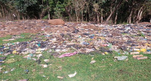 Figure 8. Solid waste disposal around the existing abattoir.