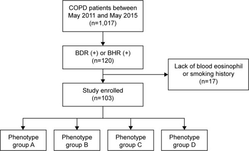 Figure 2 Flow diagram for subject enrollment.Notes: Group A: patients who smoked <10 Pyrs and had blood eosinophil counts ≥300; group B: patients who smoked <10 Pyrs and had blood eosinophil counts <300; group C: patients who smoked ≥10 Pyrs and had blood eosinophil counts ≥300; and group D: patients who smoked ≥10 Pyrs and had blood eosinophil counts <300.Abbreviations: BDR, bronchodilator response; BHR, bronchial hyperresponsiveness.