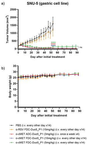 Figure 5. In vivo efficacy evaluation of the anti-cMET FDC on SNU-5 subcutaneous xenograft in Nu/Nu mice. Treatment was initiated when the average tumor size reached 150–200 mm3. Tumor size (a) and body weights (b) of mice were measured twice weekly. α-cMET FDC-Duo5_P1 significantly inhibited SNU-5 tumor growth in nude mice in a dose-dependent manner up to 88 days after initial treatments. **** indicate P value < 0.0001, two-way Anova with Tukey’s multiple comparisons test to vehicle control PBS. Data = mean ± SEM (N = 8); ns = not significant.