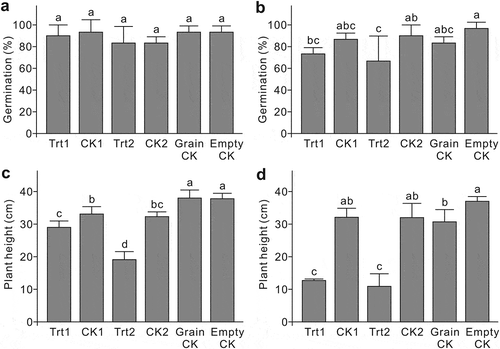 Fig. 3 Pathogenicity of the two Setophoma terrestris strains isolated from canola roots, represented by germination rate and plant height after inoculation. (a) and (c) inoculated with a low-concentration inoculum. (b) and (d) inoculated with a high-concentration inoculum. Trt1 = strain 1 inoculum; CK1 = strain 1 inoculum that has been autoclaved; Trt2 = strain 2 inoculum; CK2 = strain 2 inoculum that has been autoclaved; Grain CK = powder of autoclaved wheat grains; Empty CK = uninoculated control. Means with the same letter do not differ based on Fisher’s LSD test at P ≤ 0.05 (n = 3).