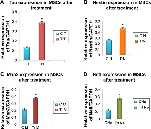 Figure 6 Gene expression levels of BM-MSCs differentiated to neurons after β-mercaptoethanol (BME) treatment.