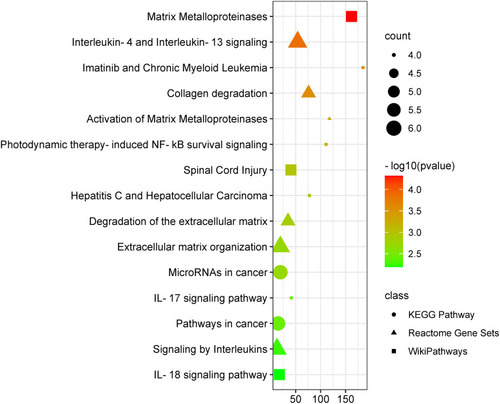 Figure 6 Enriched pathway analysis of potential targets of HTD compounds against UC.