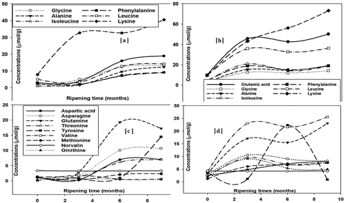 Figure 2. Dominant (a and b] and minor (c and d) free amino acids of non-digested (a and c) and in vitro duodenal digested (b and d) cheddar cheese of from Buffalo milk over storage (ripening) of 9 months; values are means of duplicate measurements; legends for (a) and (b), as well as (c) and (d) are the same.