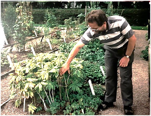 Photograph of Prof. Peter Houghton (ca. 2000) in Zurich, Switzerland (above) and Photograph of Peter Houghton at the Chelsea Physic Garden.