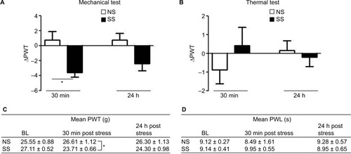 Figure 2 Effect of SS on basal paw withdrawal responses in rats to mechanical and thermal stimuli.