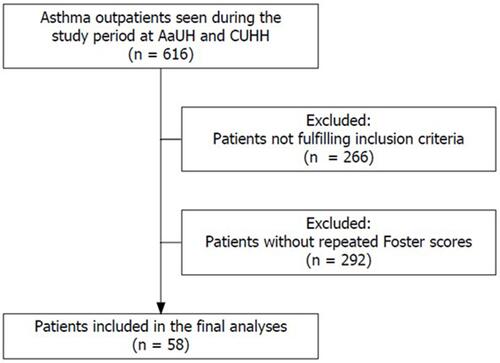 Figure 1 Flowchart for in- and exclusion of patients in the population.