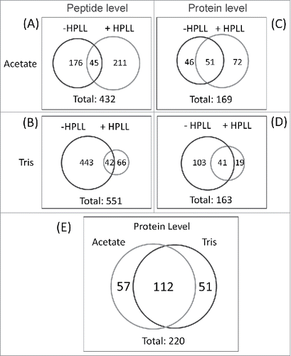 Figure 3. (A) Venn diagram representing the number of peptides identified after the equalization process with two buffers (buffer A: 25 mM sodium acetate, pH 5.0 and buffer B: 25 mM Tris/HCl, pH 9.0). (B) Venn diagram representing the amount of proteins identified after the equalization process with the same two buffers.