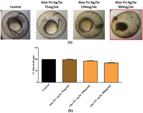 Figure 11. (a) abnormalities in morphology and (b) survival rates of zebrafish blastula following exposure to various groups, including clove Ag-Se/Fu, were assessed. The experiments were conducted three times, and asterisks (*) indicate statistically significant differences at a significance level of p < 0.05.