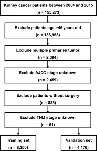 Figure 1 Flow diagram of the EOKC patients with training and validation sets.