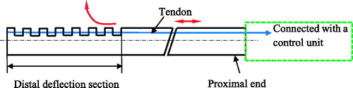 Figure 2. Schematic diagram of the structure of the tendon-driven steerable catheter. (The red arrows indicate the movement of tendon and the deflection of the distal section)