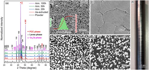 Figure 1. (a) X-ray diffraction (XRD) patterns of the gas-atomized powder, the as-extruded and subsequently annealed EHEA samples, respectively. (b) Morphology of the gas-atomized powder and the particle size distribution (inset), (c) cross section view of the gas-atomized powder, (d, e) the microstructure of the as-heated and as-extruded EHEA samples, and (f) the bulk extruded rod.