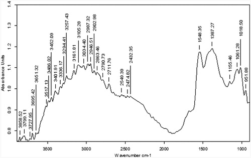Figure 7. FTIR imaging spectra of GO-CH-Zn Ncs.