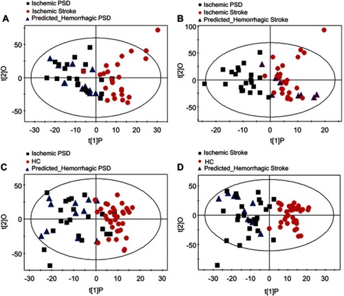 Figures S3 Assessment of Metabolic Phenotype Homogeneity in Ischemic and Hemorrhagic Subjects. (A-B) A new generated OPLS-DA model constructed with 21 ischemic PSD samples and 25 ischemic stroke samples was used to predict the class membership of the 11 hemorrhagic PSD subjects and 10 hemorrhagic stroke subjects. All hemorrhagic PSD samples were mixed with ischemic PSD samples; 8 of the 10 hemorrhagic stroke samples were mixed with the ischemic stroke samples; (C) An OPLS- DA model using 21 ischemic PSD samples and 35 healthy control samples was constructed. This regenerated OPLS-DA model was used to classify the remaining 11 hemorrhagic PSD subjects. 9 of the 11 hemorrhagic PSD subjects were correctly classified; (D) Identical procedures were also used to classify the 10 hemorrhagic stroke subjects in the OPLS-DA model that was from the 25 hemorrhagic stroke subjects and 35 healthy controls. This analysis showed that all 10 hemorrhagic stroke subjects were correctly predicted.