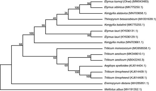 Figure 1. Phylogenetic relationships of 16 species based on complete chloroplast genome using the Maximum-Likelihood methods. The bootstrap values were based on 1000 replicates and are shown next to the branches.