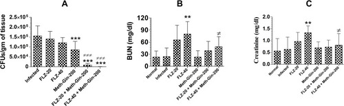 Figure 7 The effect of a combination of Meth-Gin and FLZ treatment on (A) fungal load, (B) BUN and (C) creatinine in C. albicans infected mice. A P value <0.05 was considered to be significant. **(P<0.01), ***(P<0.001) Infected control vs Treatment groups. #P < 0.05 and ###P< 0.001, FLZ-treated group vs Treatment groups. The data are represented as mean ± SD of three independent experiments.