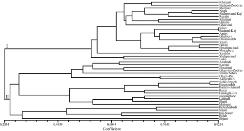Figure 1. UPGMA dendrogram produced using Dice's coefficient based on nSSR data in the studied cultivars of P. vera.
