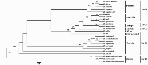 Figure 2. A ML phylogenetic tree was constructed using the ‘GIR + G’ model with 1000 bootstrap replications. The numbers represent the bootstrap value (values <60% are not shown). 2n indicates the diploid chromosome number.
