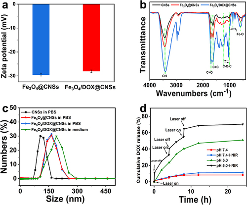 Figure 3 (a) Zeta potential of Fe3O4@CNSs, and Fe3O4/DOX@CNSs. (b) FTIR spectra of CNSs, Fe3O4@CNSs, and Fe3O4/DOX@CNSs. (c) Sizes of CNSs and Fe3O4/DOX@CNSs. (d) Induced release of DOX from Fe3O4/DOX@CNSs under various pH levels (pH=7.4 and 5.0) and NIR irradiation.