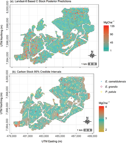 Figure 4. (a) Posterior mean and (b) standard deviation of the Landsat-8-based C stock model. The points in the figure represents C stock plot locations for the three different tree species.