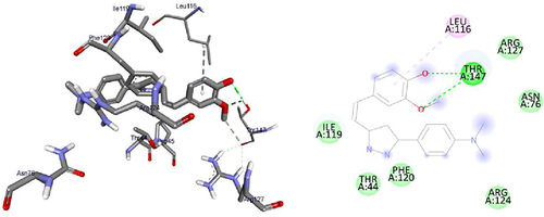 Figure 13 3D (right) and 2D (left) representations of the binding interactions of 16 against α-amylase enzyme (PDB ID: 4w93).