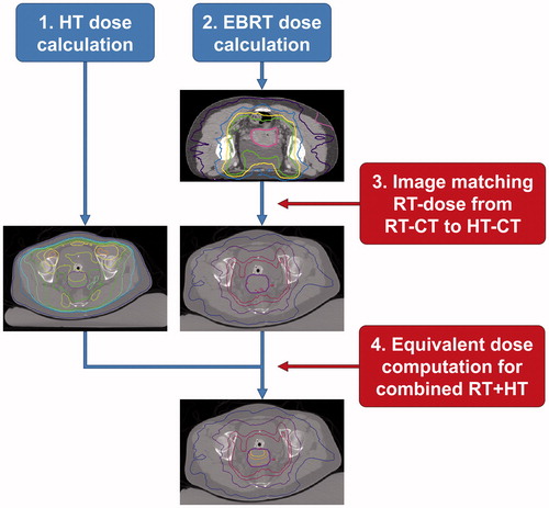 Figure 1. Workflow for equivalent radiation dose calculation of a combined treatment with radiotherapy (RT) and hyperthermia (HT). Reproduced from Crezee et al. [Citation23] with permission.