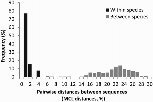 Figure 1. Frequency distribution of intra-specific and inter-specific pairwise genetic distances in Pleurobranchidae. The plot is based on 82 sequences of 530 bp obtained from BOLD system representing 22 nominal species distributed in five genera plus the three specimens from Argentina presented in this work. Pairwise genetic distances were calculated under the maximum composite likelihood (MCL) method.