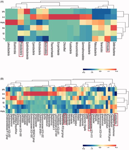 Figure 5. Heatmap of the relative abundances of (A) top 50 phylum and (B) top 50 genera. The red rectangle represents the relative abundance of the changed phylum and genera. # p < 0.05 and ## p < 0.01 vs. the normal group. *p < 0.05 and **p < 0.01 vs. the model group. Data are reported as mean ± SD. N: normal; M: model; S: fluoxetine; L: TIV-L; Me: TIV-M; H: TIV-H (n = 3 per group).
