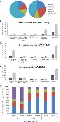 Figure 4. EPA, DHA, AA and Cardiolipin pools are remodelled during chronic insulin exposure in RBL2H3. (a). Pie chart overview of proportions (%) of lipids in each category. (b–d). Absolute levels (nmol per billion cells) of DHA, EPA, AA and CL species localized within specific cellular pools (esterified onto phospholipids (PL), in neutral lipid (NL) pools, as Free Fatty Acids (FFA) or as cardiolipins (CL). E. Normalized percentage abundance of each lipid species by pool in the absence and presence of chronic insulin exposure.