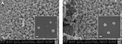 Figure 1 Representative FE-SEM images of (A) conventional NPs and (B) cationic E30-NPs.