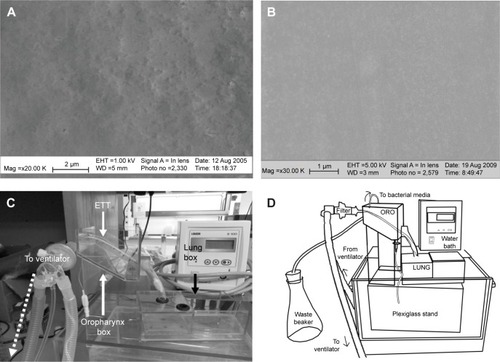 Figure 1 Experimental parameters of the dynamic lung box model.Notes: SEM images of the surface roughness of (A) nanomodified PVC ETT (Nano-R) and (B) untreated PVC ETT placed in the lung box model. Nano-R: magnification ×30 K. Untreated: magnification ×20 K. Scale bars = 2 μm and 1 μm, respectively. Nano-R was modified with Rhizopus arrhisus. Schematics of lung box system showing (C) custom-made pediatric airway model with ETT inserted and (D) key components of ventilated, continuously contaminated, bench-top model.Abbreviations: SEM, scanning electron microscopy; PVC, polyvinyl chloride; ETT, endotracheal tube; Mag, magnification; EHT, extra high tension; WD, working distance; ORO, oropharynx-larynx box; LUNG, lung box.