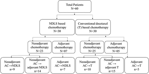Figure 1 Patients’ disposition. In NDLS arm, patients were administered neoadjuvant AC followed by NDLS (AC→NDLS regimen; n=9), neoadjuvant AC regimen followed by adjuvant NDLS (n=14), or adjuvant AC followed by NDLS (AC→NDLS; n=7) regimens. In docetaxel arm, patients were administered neoadjuvant doxorubicin, cyclophosphamide (AC) followed by docetaxel (T) (AC→T regimen; n=10), neoadjuvant AC regimen followed by adjuvant T (n=15), or adjuvant AC followed by T (AC→T; n=5) regimens. In HER2+ patients in both the arms, trastuzumab was administered at 8 mg/kg IV on Week 1 followed by 6 mg/kg IV every 21 days.