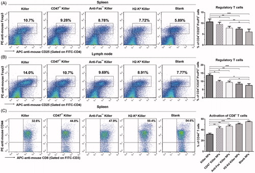 Figure 4. Killer NPs treatment induces the regulatory T cells and inhibits the activation of CD8+ T cells. (A, B) Tregs in spleen and lymph nodes. (C) Activation of CD8+ T cells in spleen. Data were presented as mean ± SD. n = 3 or 4 mice in each group. *p < .05. **p < .01, ***p < .001.