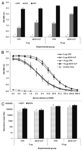 Figure 2. Humoral immune response in BALB/c mice immunized with RV VP6 proteins. (A) Kinetics of RV VP6–specific total IgG antibodies in sera of BALB/c mice (3–5 mice/group) immunized intramuscularly with 3 μg or 10 μg doses of rVP6 or dl2/6-VLPs at weeks 0 and 3. Group means with standard errors of tail blood samples collected at study weeks 0 (pre-immune sera) and 3 and termination sera at week 5 are shown. (B) End point serum titrations of RV VP6-specific IgG antibody responses of different experimental groups of mice. Control mice receiving carrier only (PBS) were used as controls. Mean titers with standard errors of termination sera at week 5 are shown. A dashed line indicates the lower cut off value (OD 0.15) calculated as follows: mean OD (termination sera of control mice) + 3 × SD (C) VP6-specific IgG1 and IgG2a subtype antibody responses of groups of mice immunized with rVP6 or dl2/6-VLPs. Data are expressed as the geometric mean titers (log10) with standard errors of the reciprocal dilutions of specific IgG1 and IgG2a antibodies in termination sera at week 5.