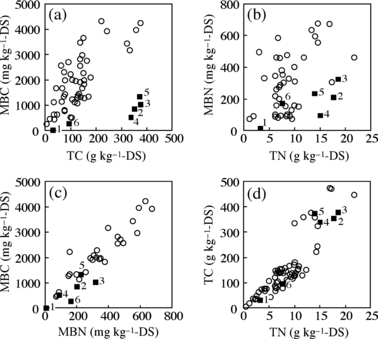 Figure 3 Relationships between (a) total C (TC) and microbial biomass C (MBC), (b) total N (TN) and microbial biomass N (MBN), (c) MBN and MBC, and (d) TN and TC in Osorezan acid soils () and common Japanese forest soils (○). Values are expressed on an oven-dry soil basis (DS). The site number is labeled near each plot. Values in common Japanese forest soils were cited from: Billore et al. 1995; Chihara et al. 2000; Chowdhury et al. 1999; Guan et al. 1997; Furusawa et al. 2005; Mabuhay et al. 2006; Ohse et al. 2003a,b; Ohya et al. 2000; Oyanagi et al. 2002a,b; Sato et al. 2000; Sato and Seto 1995; Tamai et al. 2003; Tokuchi et al. 2000; Tripathi et al. 2005, 2006.