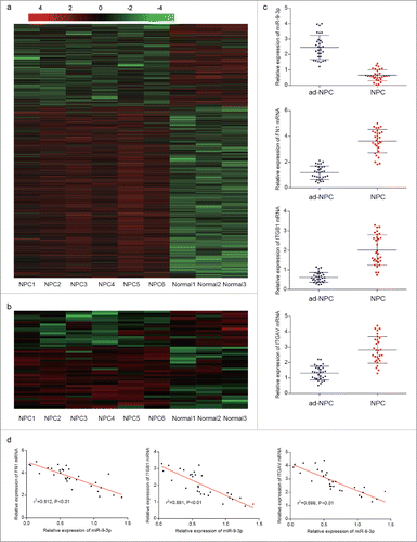 Figure 1. Expression patterns of miR-9–3p, FN1, ITGB1 and ITGAV. (A-B) Hierarchical clustering analysis of gene(A) and miRNA(B) that were differentially expressed among 6 NPC tissues and 3 adjacent tissues were shown (great than 2-fold difference in expression; P < 0.05). Expression values are represented in different colors. (C) RT-qPCR was performed to detect the expression of miR-9–3p, FN1 mRNA, ITGB1 mRNA and ITGAV mRNA. (D) The linear correlation among miR-3p, FN1 mRNA, ITGB1 mRNA and ITGAV mRNA was analyzed and negative correlations were shown.