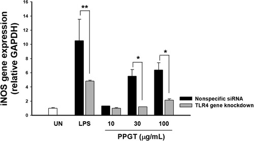Figure 5. Effect of TLR4 knockdown on PPGT-induced iNOS expression. RAW264.7 cells were transfected with 100 nM TLR4 siRNA using Lipofectamine. After 24 h, the cells were treated with 10, 30, or 100 µg/mL PPGT or 10 µg/mL LPS for a further 24 h, and subsequently collected for RNA isolation. iNOS gene expression was determined by quantitative RT-PCR. The values shown are means ± SD. *p < .05, **p < .01, ***p < .001 compared with the nonspecific siRNA group.