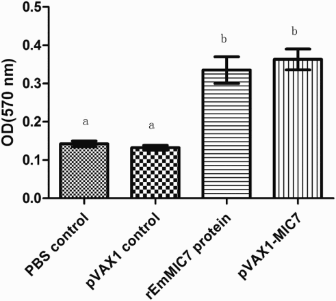 Figure 4. Proliferation responses of splenic lymphocytes from chickens immunized with EmMIC7. Each group of chickens was immunized with 100 μg of pVAX1-MIC7, 200 μg of rEmMIC7 protein, 100 μg of pVAX1 or sterile PBS solution, respectively. One week later, a booster immunization was given with the same amount of components as the primary immunization. On day 7 post-second immunization, spleens were removed from 10 chickens and lymphocyte proliferation was determined by the MTT method with respect to the absorbance at 570 nm. Bars with different letters were significantly different (P < .05).