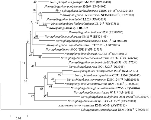 Figure 1. Neighbor-joining phylogenetic tree based on 16S rRNA gene sequences showing the relationships of strain THG–C3 with related species. Bootstrap values (expressed as percentage of 1000 replications) are shown at branch points. Bar, 0.01 substitutions per nucleotide position.