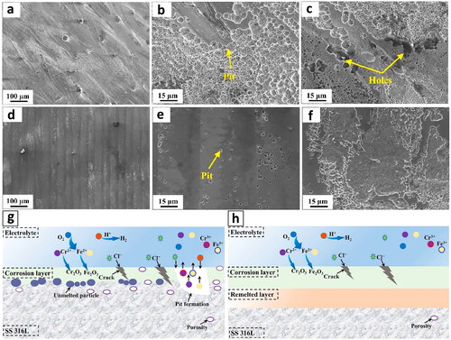 Figure 59. SEM images of corroded surfaces in (a–c) as-built sample, (d–f) laser polished sample, immersed into 0.4 Mol/L HCl solution (various magnifications), (g,h) corrosion mechanism in the as-built and laser polished samples, respectively (Reproduced with permission from[Citation311]).