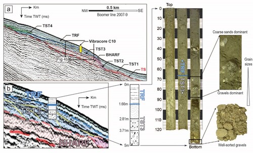 Figure 4. (a) Seismic Boomer line 2007–9 showing the seismo-stratigraphic units TRF, TST3, and their separating surface THARF calibration based on Vibracore C10 data sampling. (b) Vibra-core sampling log reconstruction and a related photo image of coarse littoral sediments (sands and gravels) of the transgressive TST3 subunits and muddy offshore deposits of the TRF unit, corresponding with the Transgressive Systems Tract (TST) and High Stand Systems Tract (HST), respectively.