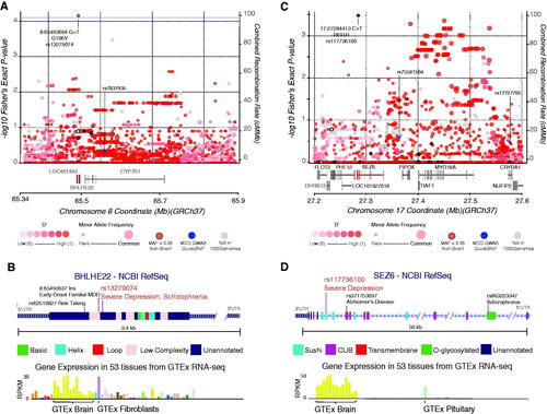 Figure 2. Regional displays of the BHLHE22 and SEZ6 loci and the single-variant associations at rs13279074 and rs117736100. (A) Variant associations to severe depression within the local region surrounding the BHLHE22 gene for rare non-silent variants (black border) as well common variants (no border). Shading of each circle is proportional to linkage disequilibrium, D‘ from the 1000 Genomes cohort. The size of the circle is proportional to Minor Allele Frequency. Recombination rate and overlapping gene models are also shown. Labeled loci are previously described common-variant associations to MDD and the variant of interest. (B) Gene structure display of BHLHE22 with protein domains and region annotation labelled. Two other previously-reported associated variants with phenotypes related to MDD are displayed. Expression data describing the tissue-specific expression profile of BHLHE22 is sourced from the Genotype-Tissue Expression project, most prevalent tissues are labelled. (C) Plot of variant associations to severe depression within the local region surrounding the SEZ6 gene. Labels and descriptions correspond to those seen in Figure 2A. (D) Gene structure display of SEZ6 with protein domains and region annotation labelled where available.